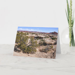 Carte Canyonlands Vue depuis le sentier Cave Springs