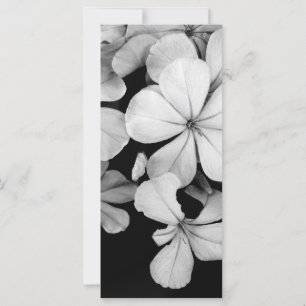 Carte Cap-plumbago