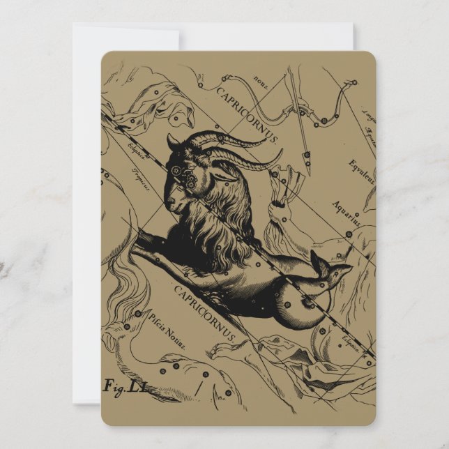 Carte Capricorne Constellation Hevelius 1690 sur Taupe (Devant)