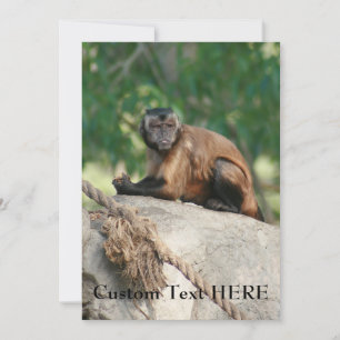 Carte Capuchin Singe Mignonne Mais Cranky