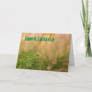 Carte Card St. Patrick's Day avec Plante