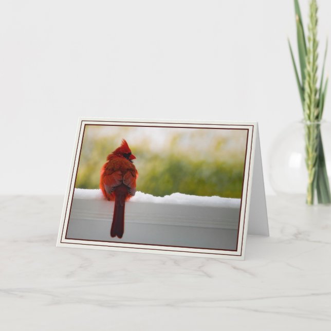 Carte Cardinal (Devant)