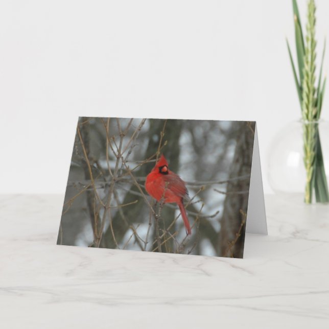 Carte Cardinal (Devant)