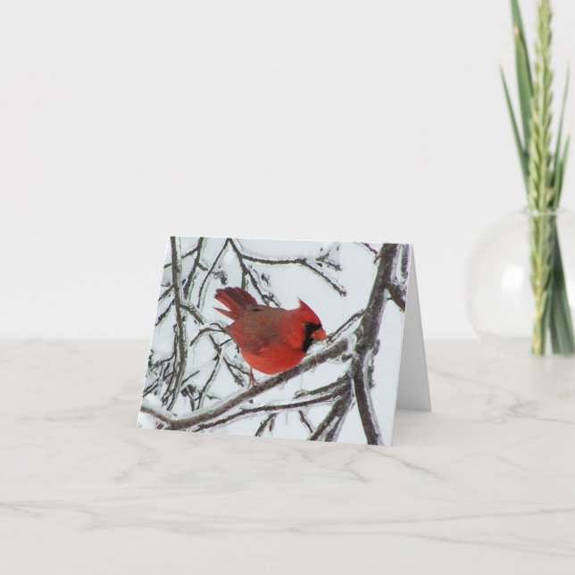 Carte Cardinal (Devant)