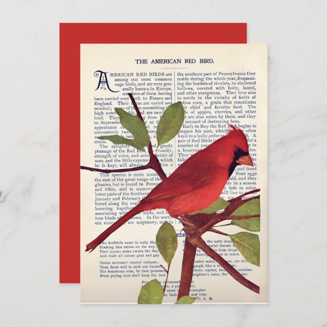 Carte Cardinal (Devant / Derrière)