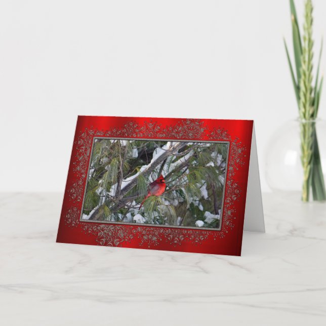 Carte Cardinal Birthday Card (Devant)