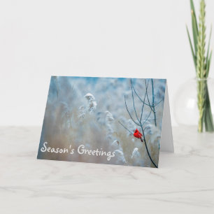 Carte Cardinal Bonnes Fêtes de Noël