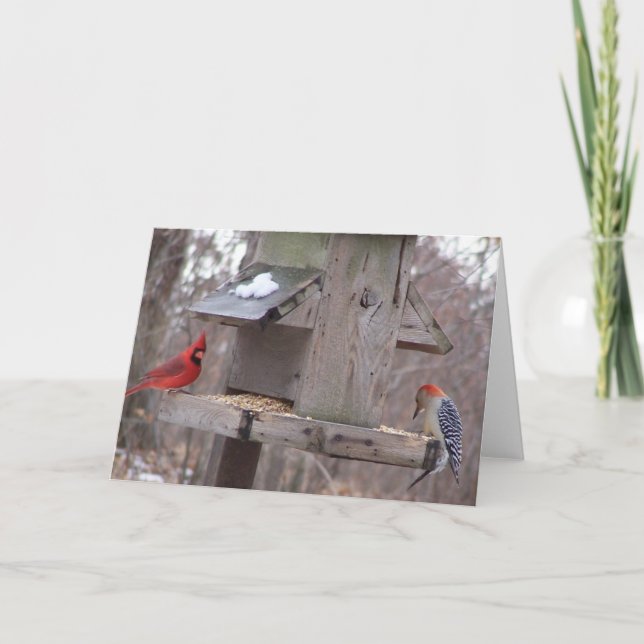 Carte Cardinal de Woodpecker&Male (Devant)