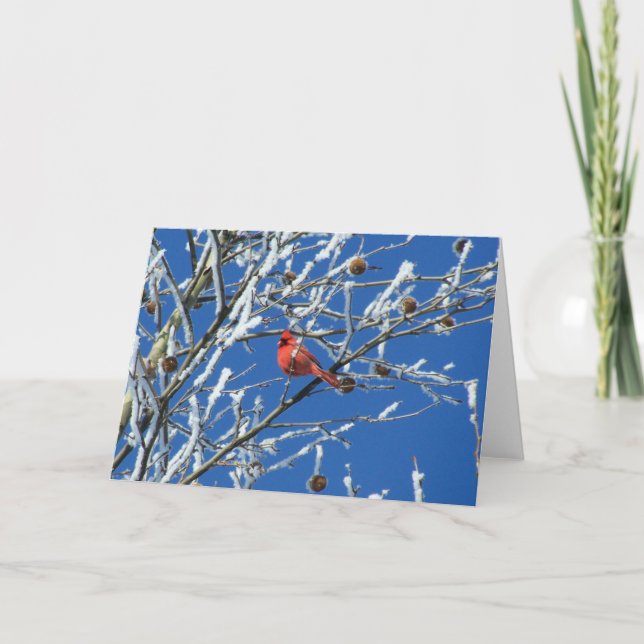 Carte Cardinal d'hiver (Devant)