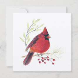 Carte Cardinal Red Bird Art