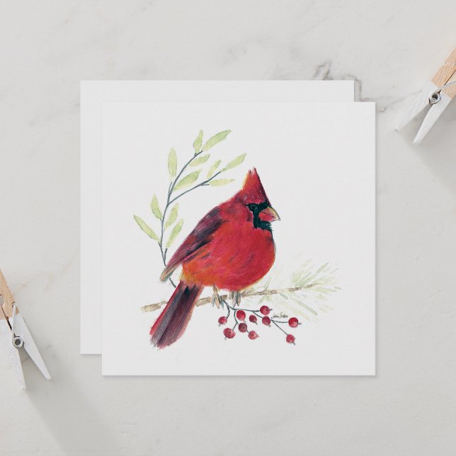 Carte Cardinal Red Bird Art (Beautiful Red Cardinal Watercolor Colored Pencil Blank Note Cards from Jenn Steffen Art)