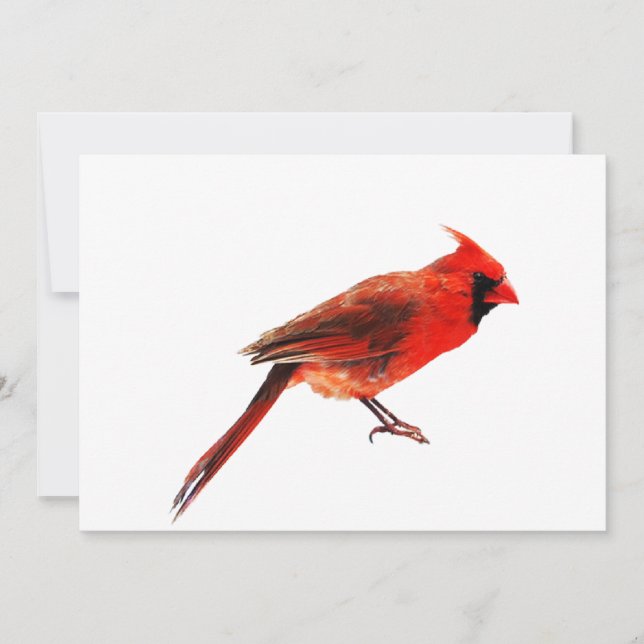 Carte Cardinal(s) (Devant)