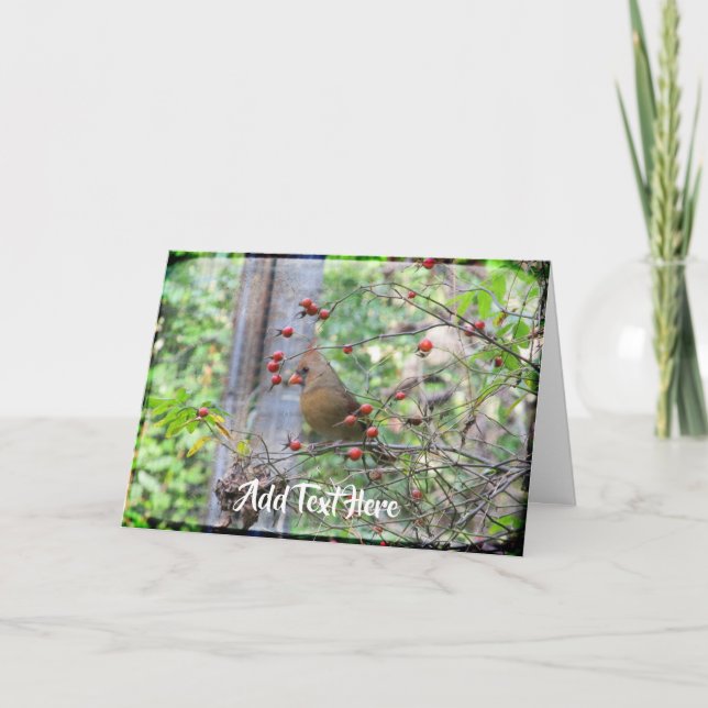Carte Cardinal sur branches de Berry en hiver (Devant)