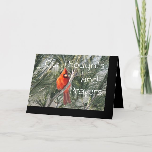 Carte Cardinal sur la personnaliser d'arbre de pin toute (Devant)