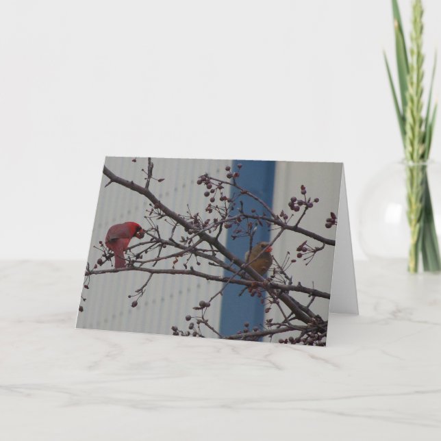 Carte Cardinaux de alimentation, anniversaire heureux (Devant)