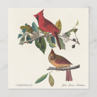 Carte Cardinaux de John James Audubon