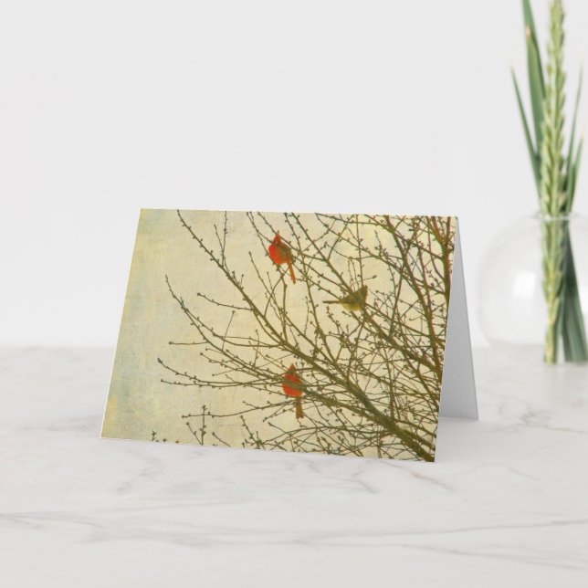 Carte Cardinaux du Nord dans un arbre (Devant)