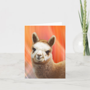 Carte Cards d'Alpaca Smiling