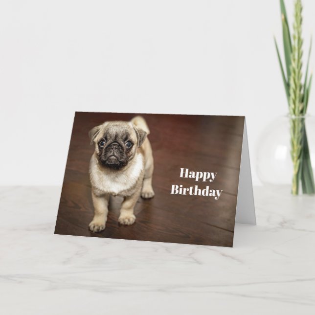 Carte Carlin photo de chien Brown Anniversaire (Devant)