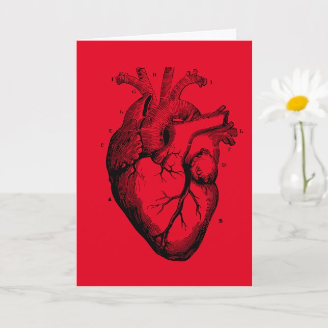 Carte Carnet de voeux pour toutes les occasions (Petite plante)