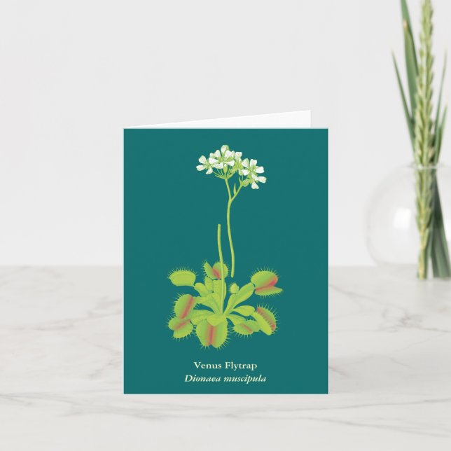Carte Carnivore Plante Floral Art (Devant)