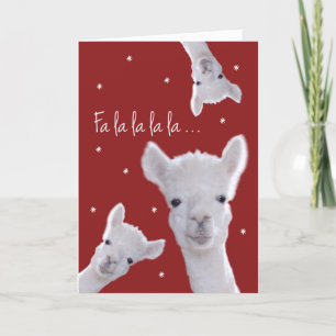 Carte Carol de Noël humoristique, lamas et flocons