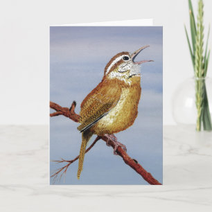 Carte Carolina Wren Greeting Card