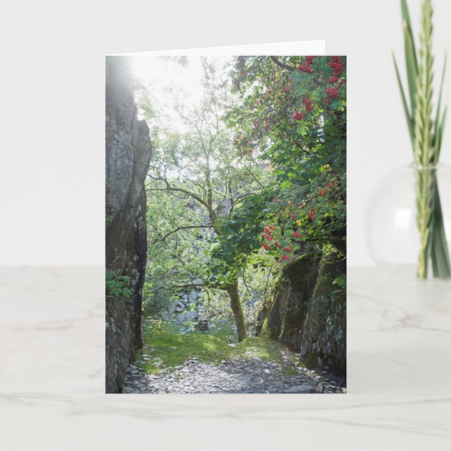 Carte Carrière de Rowan Tree Tilberthwaite (Devant)