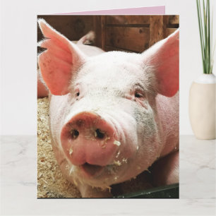 CARTE CARTE D'ANNIVERSAIRE DRÔLE COCHON PORC