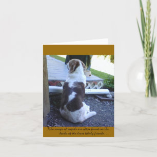 Carte - Carte Sympathy Card - Animal de compagnie