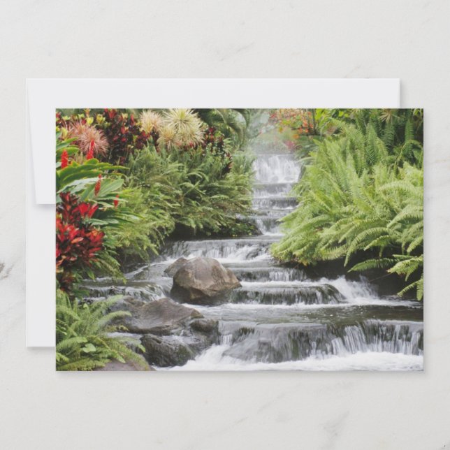 Carte Cascade dorée (Devant)