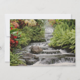 Carte Cascade dorée