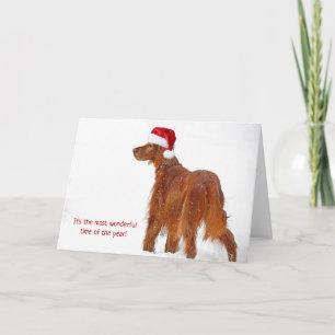 Carte Casquette de Noël sur Setter irlandais en flocons 