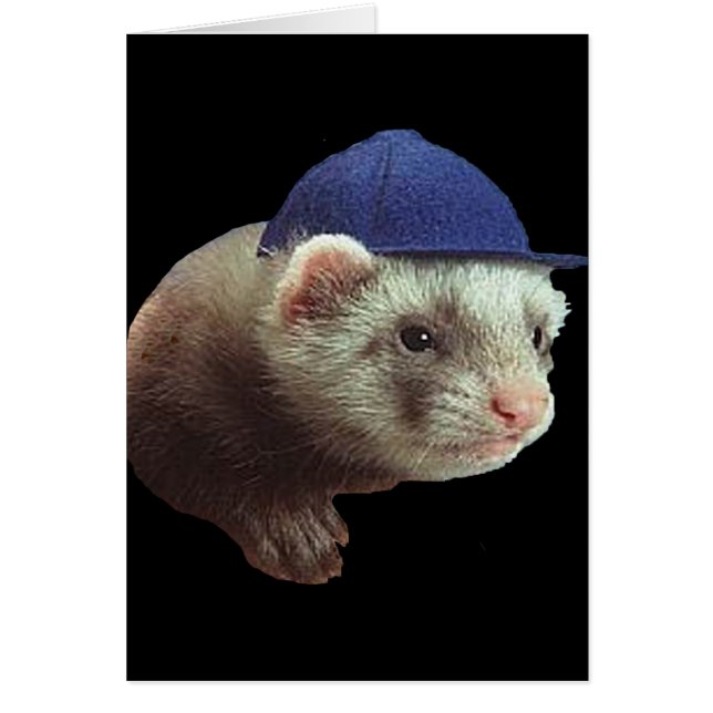 Carte Casquette Ferret (Devant)