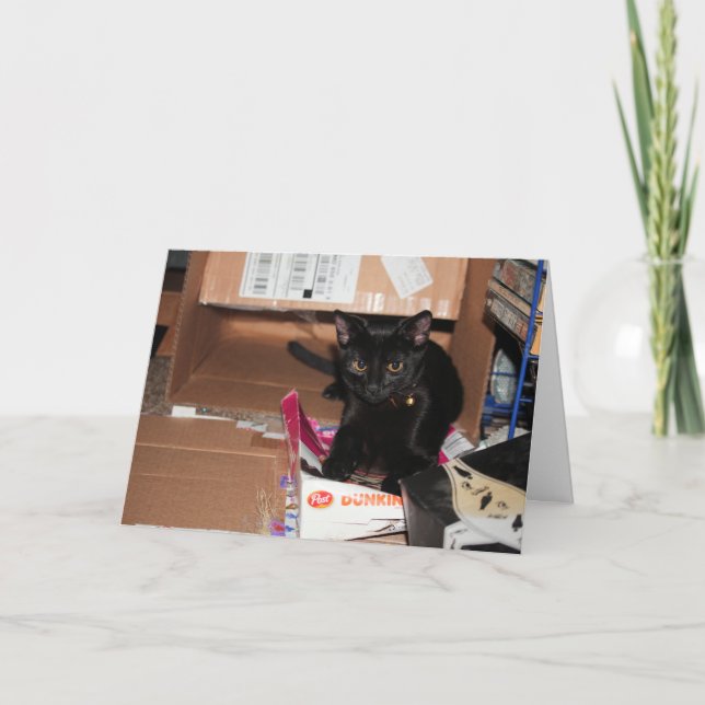 Carte Cat (Devant)