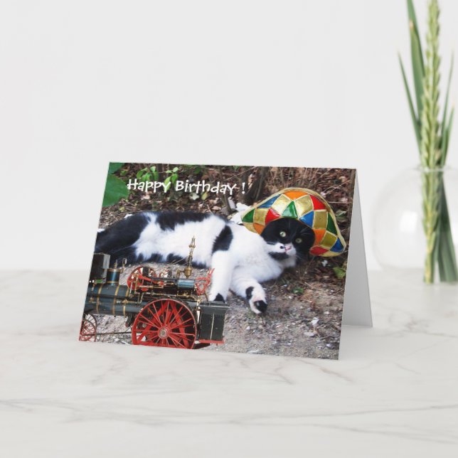 Carte CAT AVEC HARLEQUIN CASQUETTE Joyeux anniversaire (Devant)