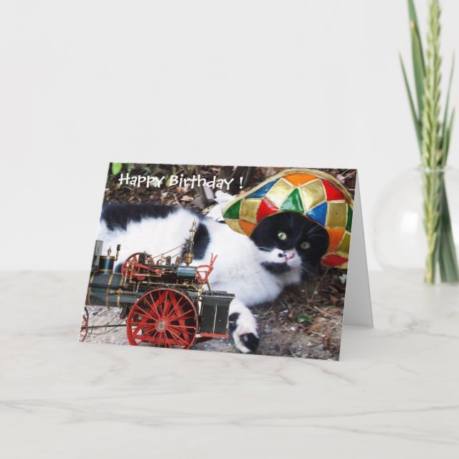 Carte CAT AVEC HARLEQUIN CASQUETTE Joyeux anniversaire (Devant)