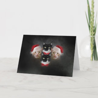 Carte Cat Christmas Card Bohemian Catsody