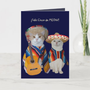 Carte Cat Funny personnalisable Cinco de Mayo
