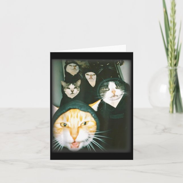Carte Cat Gang Meme Funny Chaotic Cats Unhinged Feline H (Devant)