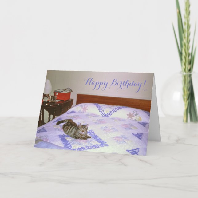 Carte Cat Laying Vintage Chenille des années 1960 (Devant)