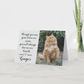 Carte Cat Loss Sympathy Card Personalized Photo Pet Name