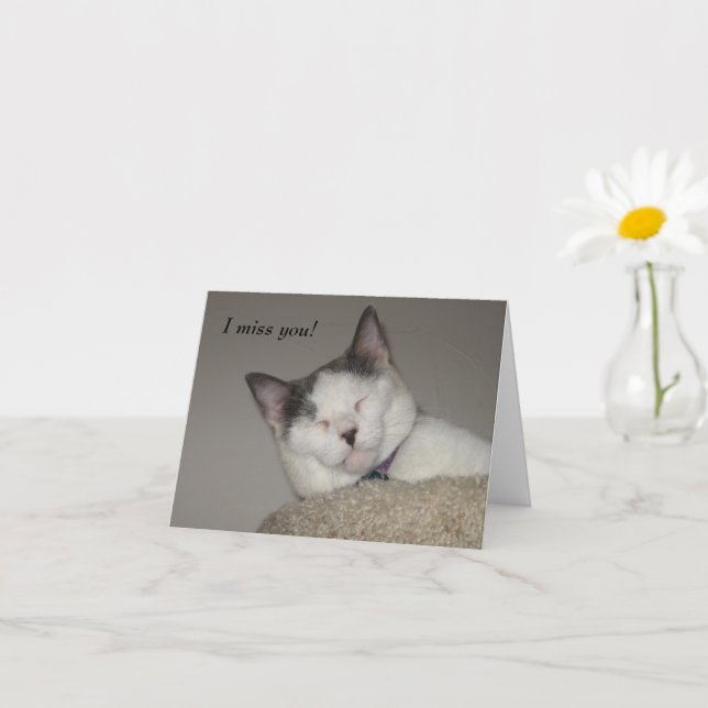 Carte Cat Nap-Missing You (Petite plante)
