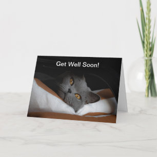 Carte Cat Obtenir Bien Bientôt Personnalisable