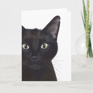Carte Cat, Portrait de Gus