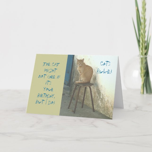 CARTE "CATS RULE/CAT PERCHÉ SUR STOOL" ANNIVERSAIRE HUMO (Devant)