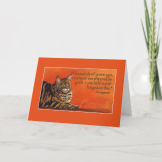 Carte Cattitude