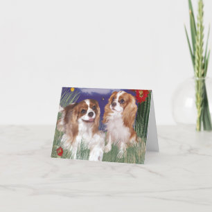 Carte Cavalier King Charles, Blenheim Baby Card