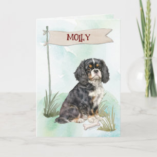 Carte Cavalier King Charles Félicitations pour le nouvea