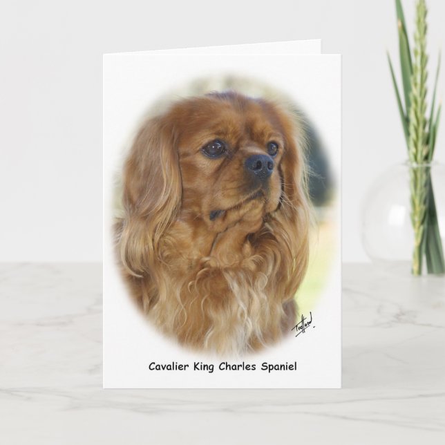 Carte Cavalier King Charles Spaniel 9K27D-17 (Devant)